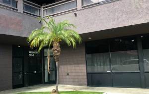 Creative office for lease West Hollywood, CA 